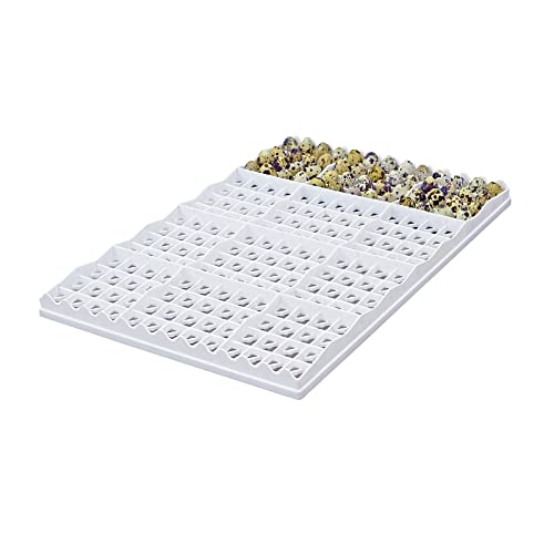 Hatching Time Egg Setter Tray (208 Quail Eggs), Good Fit, Durable, Washable, Easy to Clean, Cimuka, Fits Incubators, ABS Plastic - style: 208 Egg Setter Tray - Quail