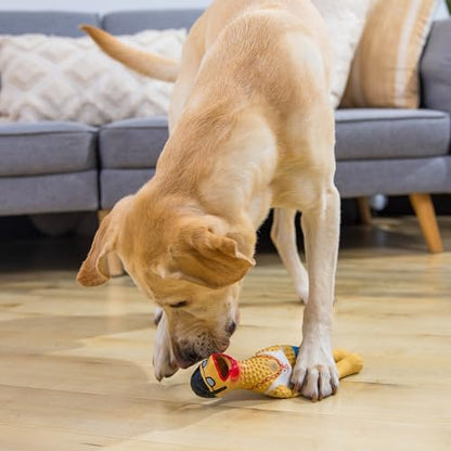 Outward Hound by Charming Pet Squawkers Earl Latex Squeaky Rubber Chicken Dog Toy, Funny Interactive Holiday Toy for Dogs, Large Size - color: Earl, size: Large