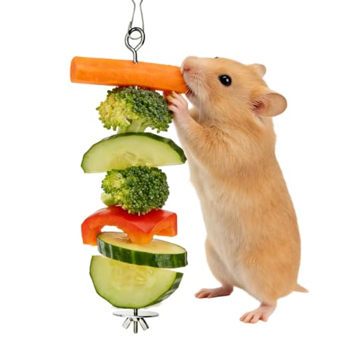 3PCS Rat Enrichment Toys Stainless Steel Bird Food Holder Rat Parrot Foraging Toy Fancy Mice Cage Accessories Puzzle Toy Slow Feeder