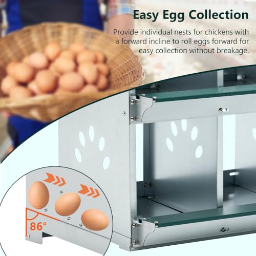 Durable Metal Chicken Nesting Box for Hens – Wall-Mounted Poultry Nest with Ventilation, Easy-Clean Design for Backyard Coops (4-Hole,Green)