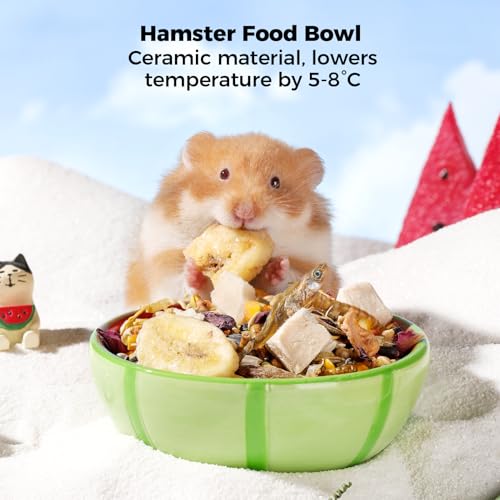 Hamster Food Bowl - Ceramic Guinea Pig Bowl Anti-Turning Small Pet Food Feeding Dish for Rabbit Rat Gerbil Mouse Chinchilla (Red) - color: Red
