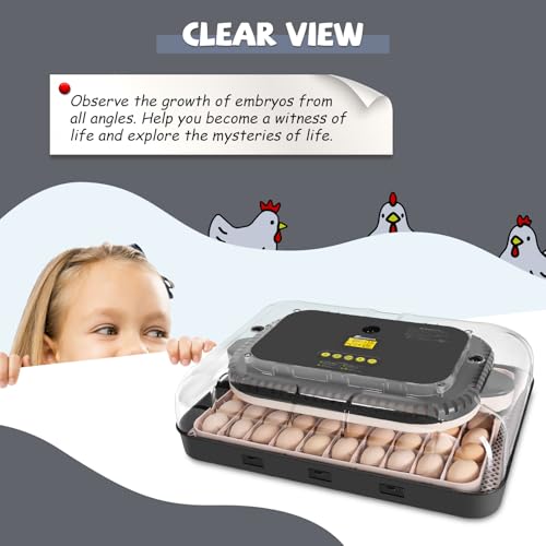 Sailnovo Incubators for Hatching Eggs 70 Egg Incubator with Auto Egg Turning & Auto Humidification, Temperature Control, Incubator for Chicken Duck Quail Eggs, Perfect for Lab School Farm, Gray&Yellow
