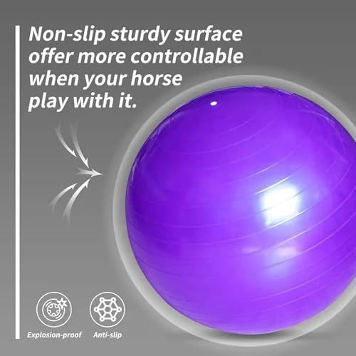 2pcs Horse Toy Balls with Inflation Pump, Suitable for Outdoor Entertainment, Training Balls for Horses and Goats (45cm/17.71inch) - size: 45cm/17.71inch