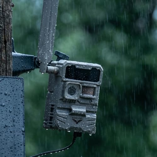 Barn Owl RangeCam Cellular Security Camera System – Off-Grid Monitoring with Solar Power, No WiFi, Works on All U.S. Networks – Farm, Ranch & Property Surveillance (RangeCam Live) - style: RangeCam Live
