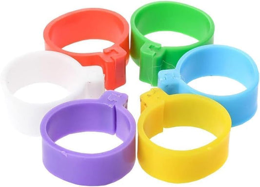 100 Pcs 16mm Multicolor Plastic Chicken Leg Rings Poultry Foot Bands Chicken Identification Tags Poultry Feeding Supplies for Ducks Chicks