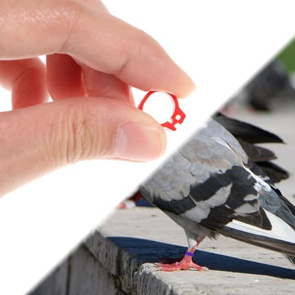 ORFOFE 100pcs Bird Leg Bands Chicken Duck Bands Poultry Foot Ring Clip Ring and Comfortable for Birds Identification