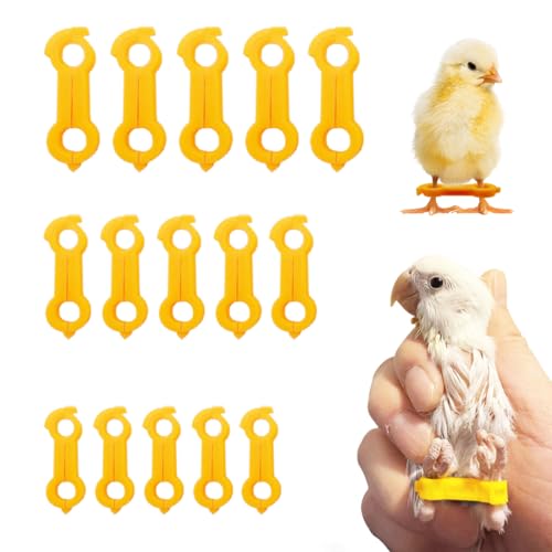 15pcs Baby Chicken Parrot Splay Leg Hobbles,Poultry Leg Bands for Newborn Spraddle Leg of Chick、Quails、Ducks、Bird Parrot of 1 to 3 Days Newly Hatched,3 Sizes