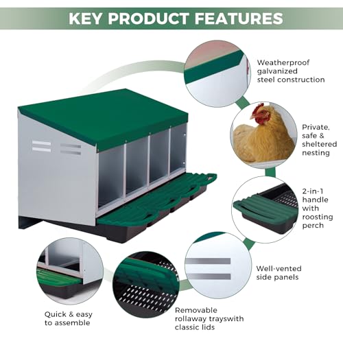 Roll Away Chicken Nesting Box – 4-Compartment Heavy Duty Galvanized Steel Laying Box, Pull-Out Trays, Wall Mount or Freestanding, Ventilated – Green, Four Grids - color: Green, size: 4 Holes
