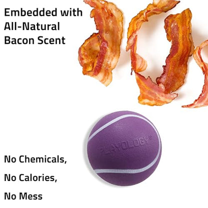 Playology Dog Toys | Squeaky Chew Ball for Dogs, Value 2-Pack | Bacon Scented Medium Dog Balls | Bouncy Floating Chew Toys for Fetch - size: Medium (VALUE 2-Pack), style: Bacon