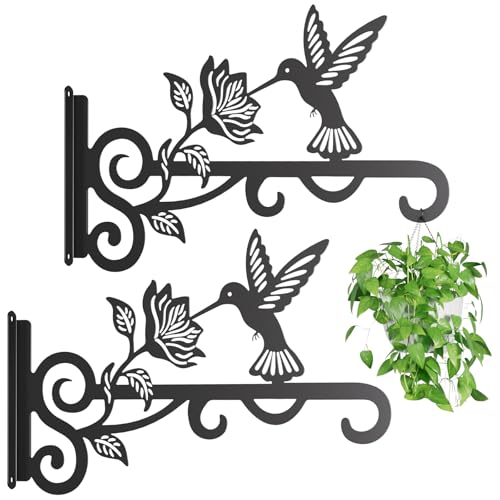 2-Pack Aesthetic Plant Hangers Outdoor – 10 Inch Metal Hanging Plant Bracket with Beautiful Hummingbird Pattern – Anti Rust Plant Hooks for Hanging Plants, Bird Feeder, Windchime, Lantern - size: 2 Pack