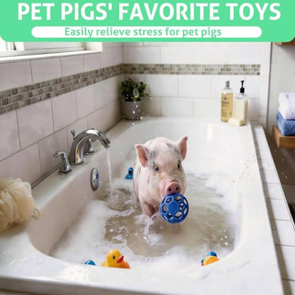 2-Pack Pig Treat Ball Toy – Chew Feed Ball with Hanging Rope | Suitable for farms, pigsties, and courtyards. Indoor and outdoor use. Enrichment toy for mini pigs to chew and play