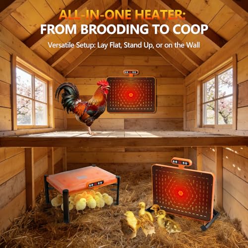 Smart Brooder Heat Plate with Temperature Display, 2-in-1 Chicken Coop Heater & Chick Brooder, 11 x 15 Chick Heat Plate for 20 Chicks, Memory Function and Overheat Protection for Safety