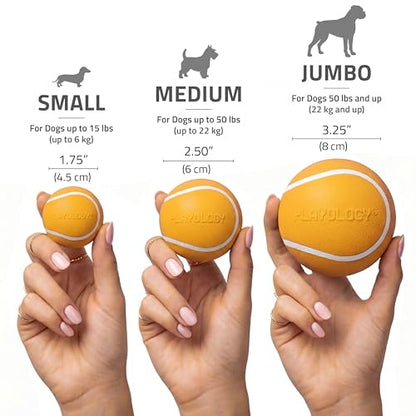 Playology Dog Toys | Squeaky Chew Ball for Dogs, Value 3-Pack | Cheddar Cheese Scented Small Dog Balls | Bouncy Floating Chew Toys for Fetch - size: Small (VALUE 3-Pack), style: Cheddar Cheese