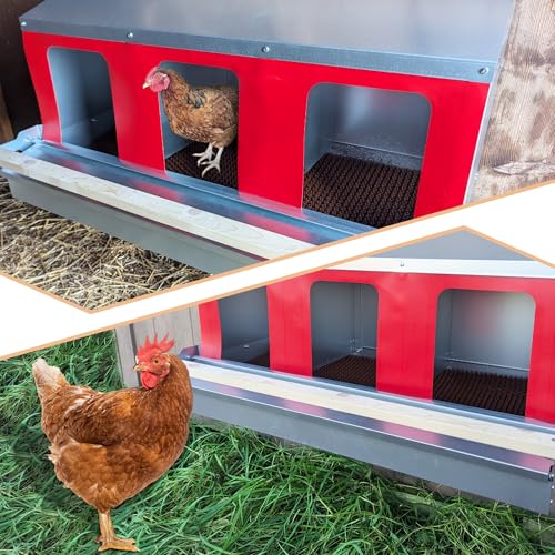 Hen's Choice™ - Roll Out Nest Box for Chickens | Roll Away Nest Box | 3 Compartment 36" | Heavy Duty Galvanized - size: Large 36"