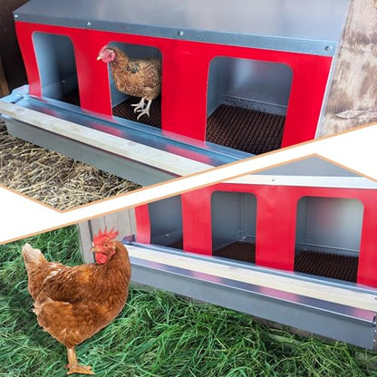 Hen's Choice™ - Roll Out Nest Box for Chickens | Roll Away Nest Box | 3 Compartment 36" | Heavy Duty Galvanized - size: Large 36"