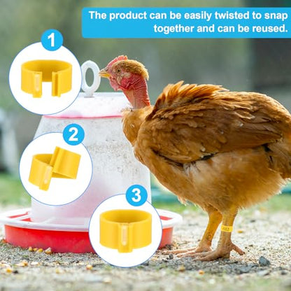 240 Pcs 20mm Plastic Chicken Leg Bands, Color-Coded Leg Bands for Chickens & Farmers