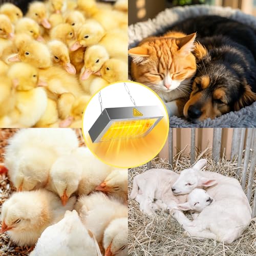 400W Chicken Coop Heater Lamp, Brooder Heat Lamp for Chickens, Adjustable Temp and Height, No Assembly Heater for Chicks Pets Livestock, 2 Pack - color: Heat lamp 400W - 2 Pack