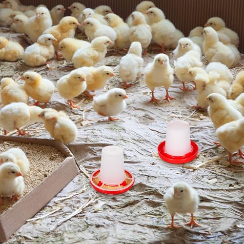 IMIKEYA 1 Set Quail Feeder Chick Feeder Quail Waterer Small Chick Feeder Poultry Chicken Water Jar Poultry Water Bucket Automatic Poultry Water Feeder Poultry Feeding Equipment Feeding Cup