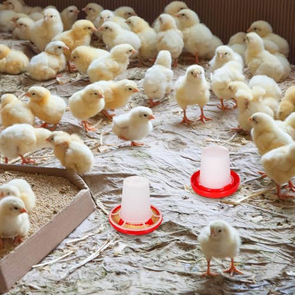 IMIKEYA 1 Set Quail Feeder Chick Feeder Quail Waterer Small Chick Feeder Poultry Chicken Water Jar Poultry Water Bucket Automatic Poultry Water Feeder Poultry Feeding Equipment Feeding Cup