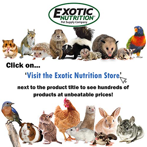 Sturdy Nest Box - Cage Attachment, Hinged Lid, Perching Ledge - for Sugar Glider, Squirrel, Rat, Finch, Parakeet, Lovebird, Parrotlet, Lovebird, Canary, Cockatiel, Other Birds & Small Pets (Large) - size: Large