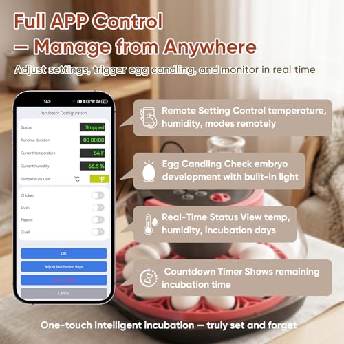 MYPIN Automatic 12-Egg Incubator with Camera & App Control, Smart Temperature Humidity Monitor, Auto Turner for Chicken Duck Quail Pigeon Hatching, Record Life's Birth Moments