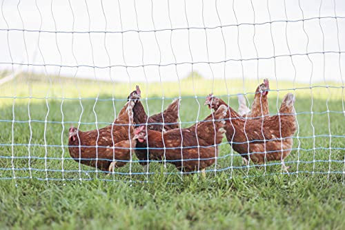Standard Electric Poultry Netting 42" x 82' (11/42/3) Electric Chicken Fencing for Backyards, Homesteads, Farms, and Ranches