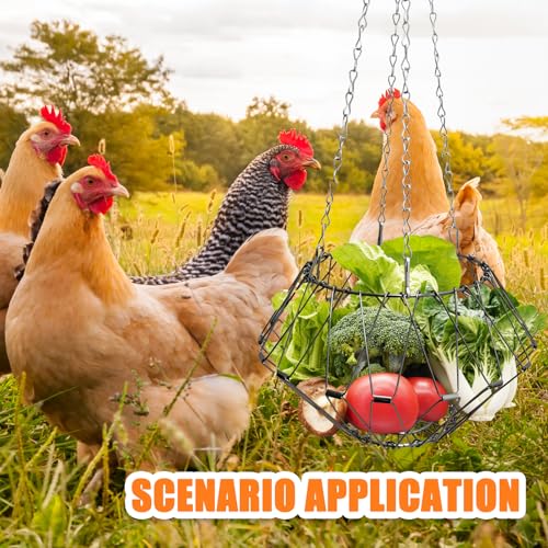 Hanging Chicken Feeder,9.25IN Large Foldable Chicken Vegetable Treat Holder Ball with 4Pcs Hanging Stainless Chain,Sturdy Poultry Cabbage Feeder Basket for Chicken Coop(Large) - size: Large
