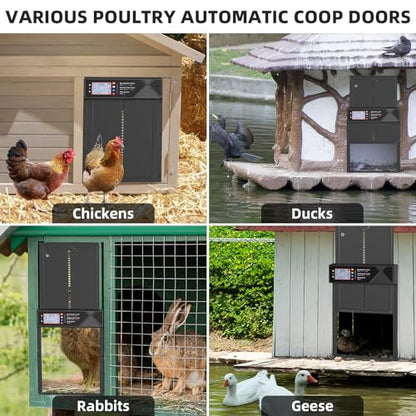 Automatic Chicken Coop Door Solar Powered, LCD Screen Electric Chicken Coop Door with Timer & Light Sensor, Aluminum Alloy Automatic Chicken Door with Anti-Pinch, Remote Control & 4 Working Modes