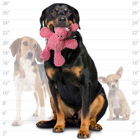 MIGHTY® 2 Pack Microfiber Medium Pig Dog Toys | Ultra Durable Plush Toy with Multiple Layers & Reinforced Seams , Washable and Floats , Mighty® Construction - color: 2PK Pink Pig