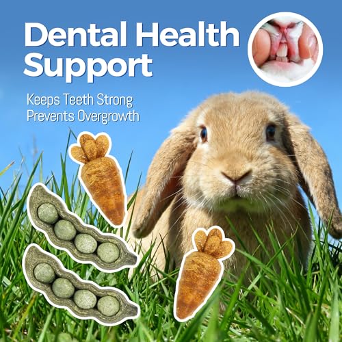 TEEWY 4PCS Guinea Pig Toys, Prevent Teeth Overgrowth, Natural Vegetables and Timothy Grass, Hamster Chew Toys, Chinchilla Toy, Peapod and Carrot Chew Toy Set - style: 4PCS-Peapod and Carrot