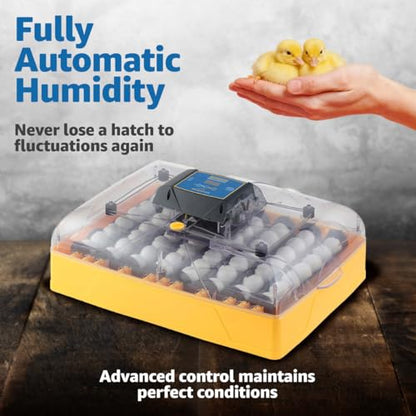 Brinsea Ovation 56 EX 56-Egg Incubator with Automatic Humidity Control - Incubators for Hatching Eggs with Digital Alarms - Programmable Turning for Chicken and Duck - style: Not Connected