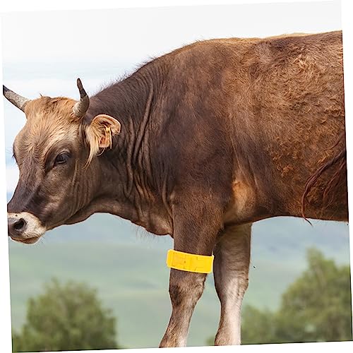 LIOOBO 4pcs Household Poultry Straps Chicken Ring Leg Sign Straps Animal Leg Bands Cold Frost and Heat Resistant