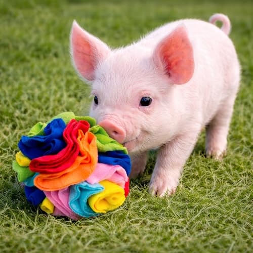 Snuffle Ball for Mini Pigs, Fun Enrichment Pig Toys (Rainbow) | for Small Animals, Soft Layers, Encourage Instincts, Slow Down Eating, Mental Stimulation - color: Rainbow