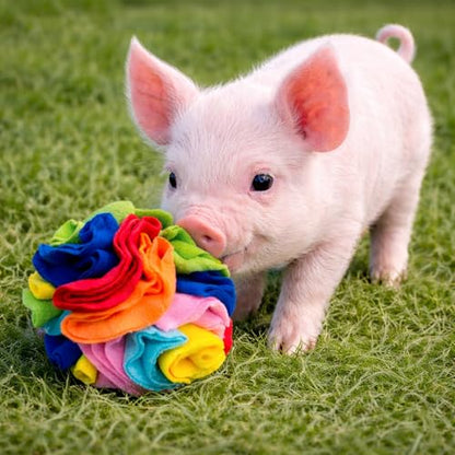 Snuffle Ball for Mini Pigs, Fun Enrichment Pig Toys (Rainbow) | for Small Animals, Soft Layers, Encourage Instincts, Slow Down Eating, Mental Stimulation - color: Rainbow