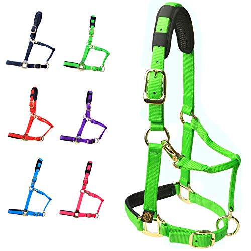 T TEKE Adjustable Horse Halters by Heavy Duty Soft Nylon, Padded with Anti-rubbing Waffle Neoprene on Both Crown & Nose - color: Green, size: X Full (XL)