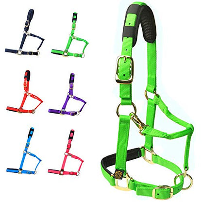 T TEKE Adjustable Horse Halters by Heavy Duty Soft Nylon, Padded with Anti-rubbing Waffle Neoprene on Both Crown & Nose - color: Green, size: X Full (XL)