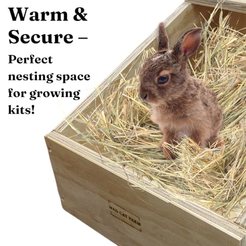 XL Rabbit Nest Box – Heavy-Duty Wood – Large & Giant Rabbit Breeds – Perfect for Nesting & Breeding Rabbits and Small Animals