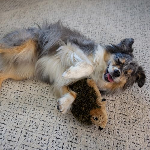 Outward Hound Hedgehogz Stuffed Dog Toy – Soft Plush Hedgehog, Grunts & Squeaks, Medium, 9" x 5" x 6.5" - size: Medium (Pack of 1)