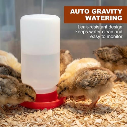 5-Pack Chick Feeder and Waterer, Baby Poultry Starter Set with 2 Feeder Troughs, 1L Waterer & 2 Wooden Perches, Small Chick Brooder Accessories for Chicken, Duck & Quail