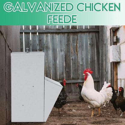 Uiifan 2 Pcs 11.5 lb Galvanized Chicken Feeder Weatherproof Poultry Metal Food Dispenser with Lid Chicken Duck Food Dispenser Rat Proof Feeder for Poultry Geese Quails Bantams Ducks and Turkey - size: 11.5 lb