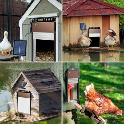 Automatic Chicken Coop Door SolarPowered Chicken Door LCD Displayand Roll-up Door Anti-Pinch FeatureChicken Coop Door Solar Powered Chicken Door Opener