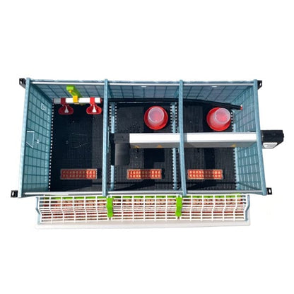 Hatching Time 9.5" Chick Brooders – Stackable with Automatic Heating, Modular Design, Easy to Clean, Ideal for Quail, Pheasant, and Baby Chicks (1 Layer) - style: 3 Section, 1 Layer