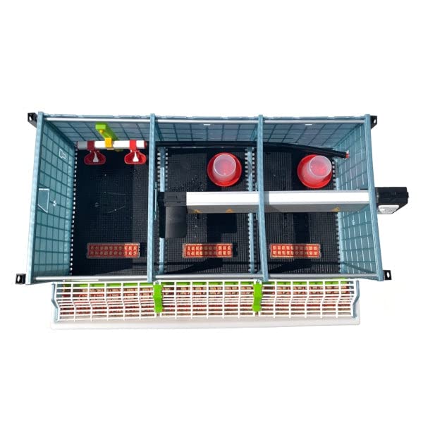 Hatching Time 9.5" Chick Brooders – Stackable or 2-Section Options with Automatic Heating, Modular Design, Easy to Clean, Ideal for Quail, Pheasant, and Baby Chicks (4 Layer) - style: 3 Section, 4 Layer