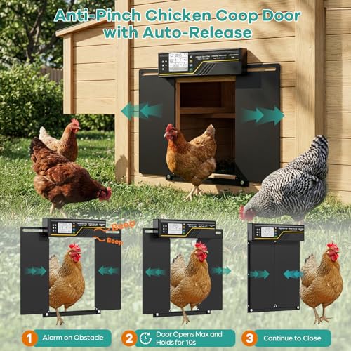 7W Solar Powered Large Automatic Chicken Coop Door, 4Modes Aluminum Horizontally Dual-Door Design with Timer & Light Sensor, Auto Chicken Door with Remote Control, Excellent Anti-Pinch