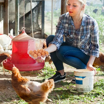 120Pack Egg Cartons Cheap Bulk One Dozen Clear Egg Cartons for Home Ranch Chicken Farm, Commercial Business Market Display, 3x4 Grids - size: Medium, style: 3x4Grids-120count