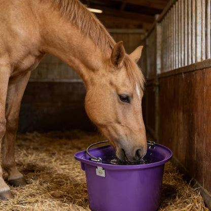 Qianly Horse Feed Bucket Feed Trough Farm Mountable for Easy Hanging Versatile Ergonomic Livestock Feeding Container Heavy Duty, Purple - color: Purple