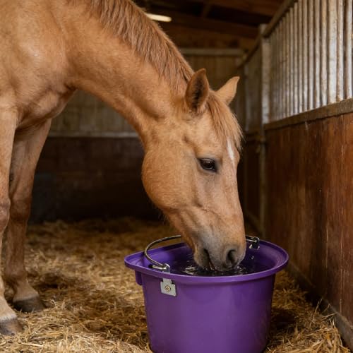 predolo Horse Feeder Feed Bucket Wear Resistant Sturdy PP Metal Ergonomic Handle Easy to Carry Suitable for Equestrian Stable Outdoor barn Livestock Care, Purple - color: Purple