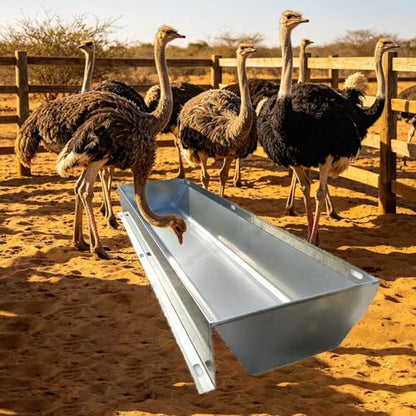 Heavy Duty Large Capacity Water Trough for Ostriches, Thickened Customizable Feed Trough for Zoo, Rustproof Stainless Steel Pig Feeder(L100cm/3.3ft) - size: L100cm/3.3ft