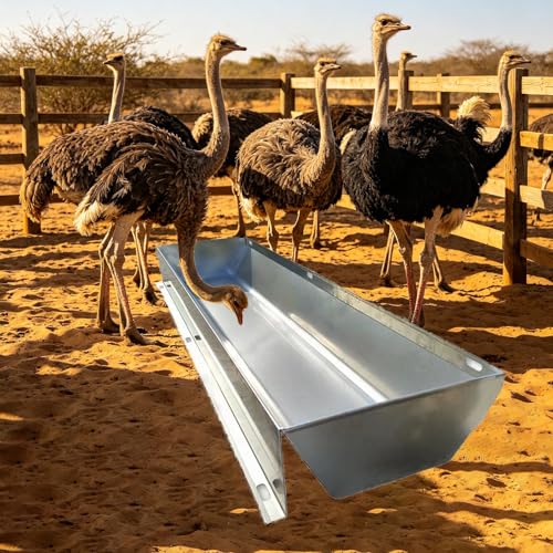 Heavy Duty Large Capacity Water Trough for Ostriches, Thickened Customizable Feed Trough for Zoo, Rustproof Stainless Steel Pig Feeder(L100cm/3.3ft) - size: L100cm/3.3ft