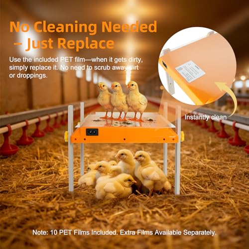 Chick Brooder Heating Plate, Briidea 80W Brooder Heater with 110–130℉ Constant Heat, Energy-Efficient, Adjustable Height & Angle, 10 PET Cleaning Film, Warmth Like Hen, 10" x 10" for 15 Small Poultry - color: Straight support